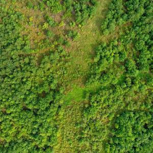DJI_0416