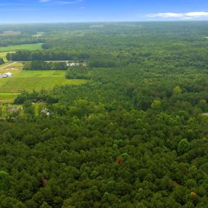 DJI_0358