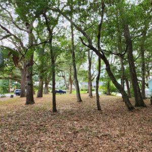 View from back of lot