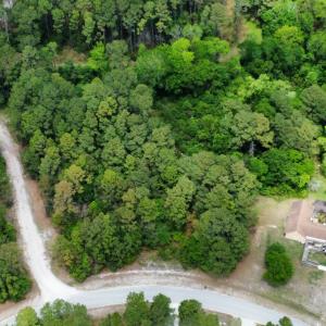 drone view