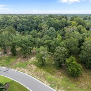 20-web-or-mls-DJI_20250731124514_0889_D