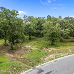 5-web-or-mls-DJI_20250731124437_0886_D