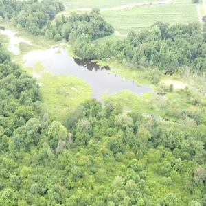 2025-08-05-11-22-17-245