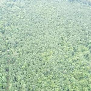 2025-08-05-11-21-21-692 (2)