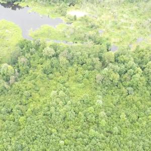 2025-08-05-11-23-13-105