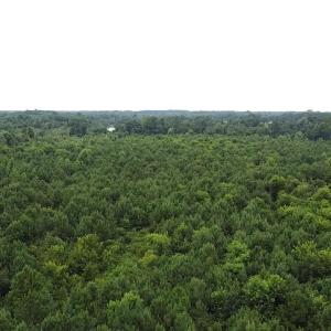 2025-08-05-11-26-58-113