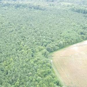 2025-08-05-11-20-42-836