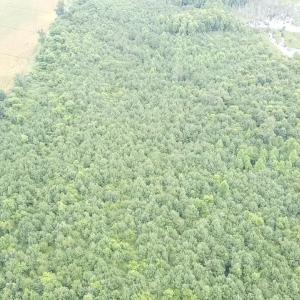 2025-08-05-11-22-32-933