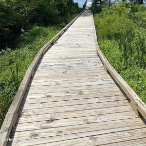 Boardwalk To Dock Lot 149R