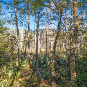 6-web-or-mls-CamMediaLLC.com (6 of 17)