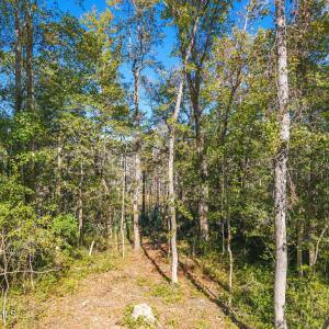 5-web-or-mls-CamMediaLLC.com (5 of 17)