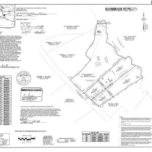 SURVEY_FINAL_RECORDED 2 or 4 LOTS BESIDE