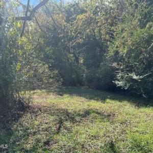 thumbnail_IMG_3525