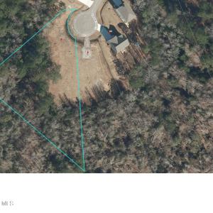 164 Evergreen Forest-1
