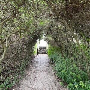 109 beach access 2