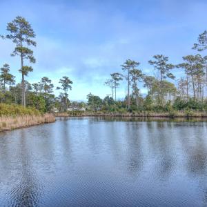 DSC_7841_2_3