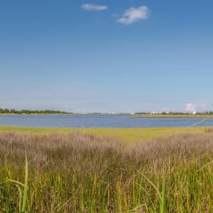 DSC_2243-Pano