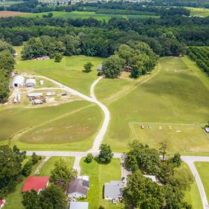 91-DJI_20250810002737_0021_D-HDR