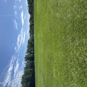 Cleared and ready to build