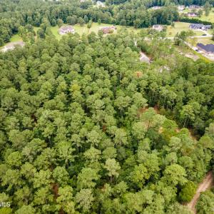 DJI_0309