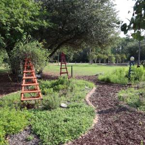 Disc Golf3