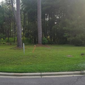 From Bimini Rd