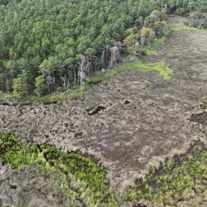 DJI_20250805092953_0339_D