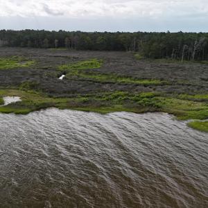 DJI_20250805092308_0322_D