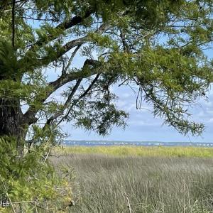 IMG_4442 Large