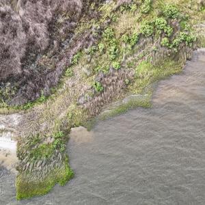 DJI_20250805092821_0333_D