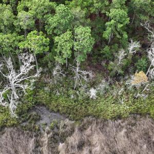 DJI_20250805092732_0330_D