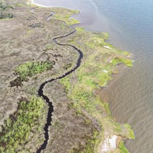 DJI_20250805092958_0340_D