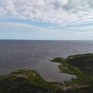 DJI_20250805092148_0319_D