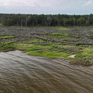 DJI_20250805092259_0320_D