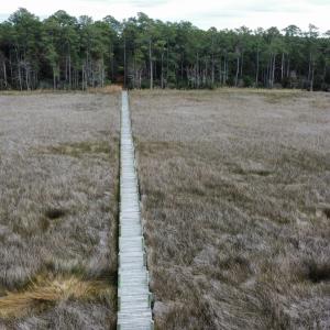 dji_fly_20221122_143216_128_166921596044