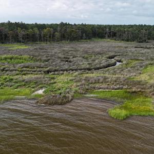 DJI_20250805092303_0321_D