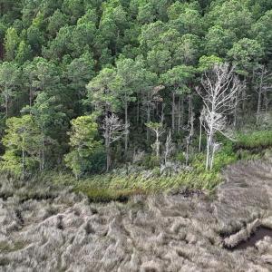 DJI_20250805092943_0338_D