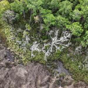 DJI_20250805092738_0331_D