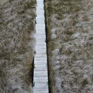 dji_fly_20221122_143138_126_166921596392