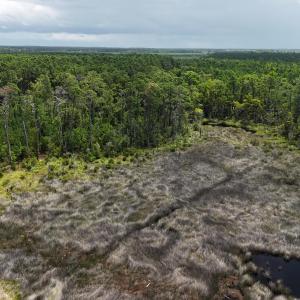DJI_20250805132655_0365_D