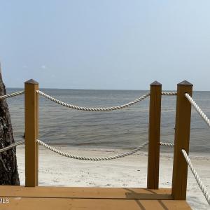 IMG_2984 Large