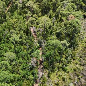 DJI_20250805133851_0387_D