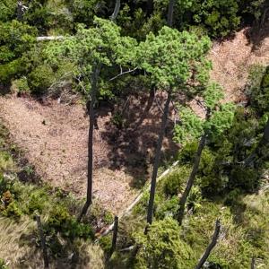 DJI_20250805133718_0381_D