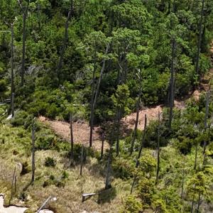 DJI_20250805133701_0380_D