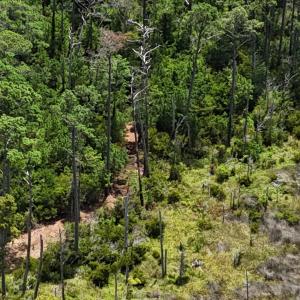 DJI_20250805133655_0379_D