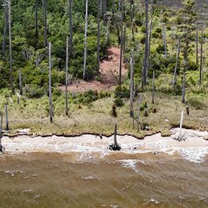 DJI_20250805132910_0373_D