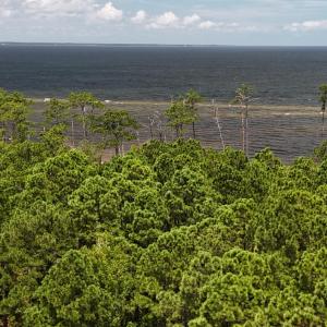 DJI_20250805132512_0358_D