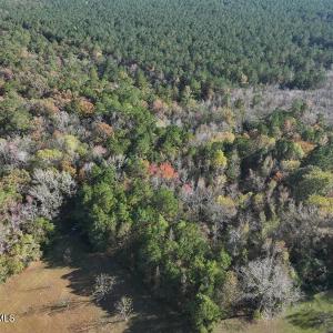 DJI_20231108140928_0080_D