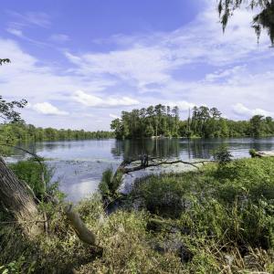 RockyPointFarm-24