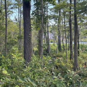 20240703131704627595000000-o